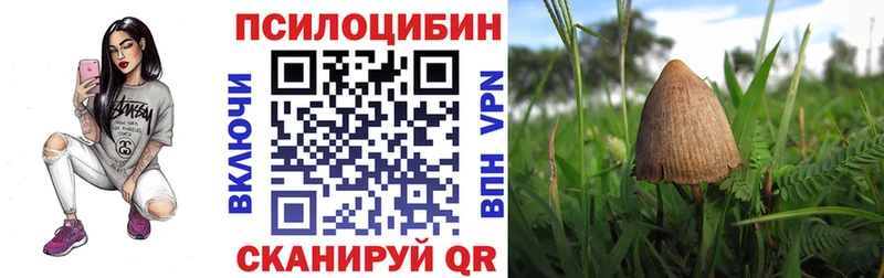 Галлюциногенные грибы мухоморы Грязи